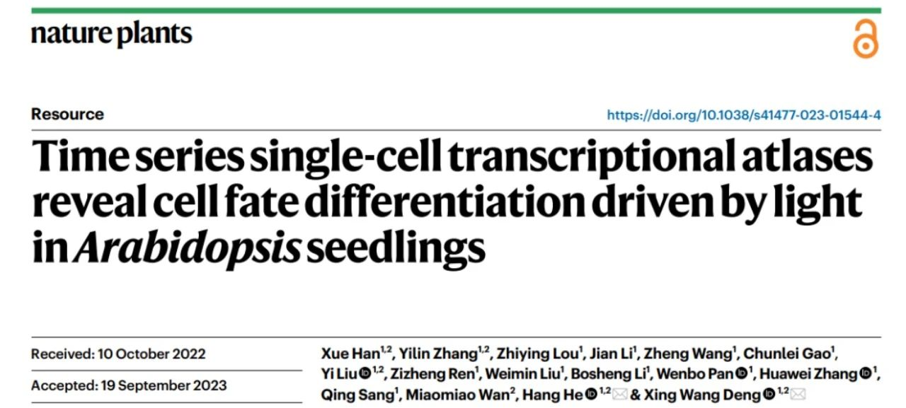 文献阅读分享｜时序单细胞转录图谱揭示拟南芥幼苗中由光驱动的细胞命运分化