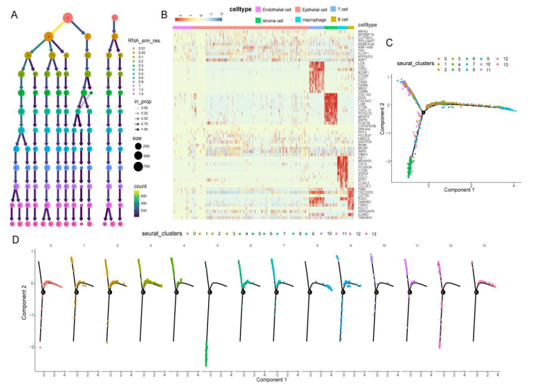 文献阅读分享｜single-cell和bulk RNA测序数据的综合分析揭示了免疫相关lncRNA-mRNA在三阴性乳腺癌中的预后信号