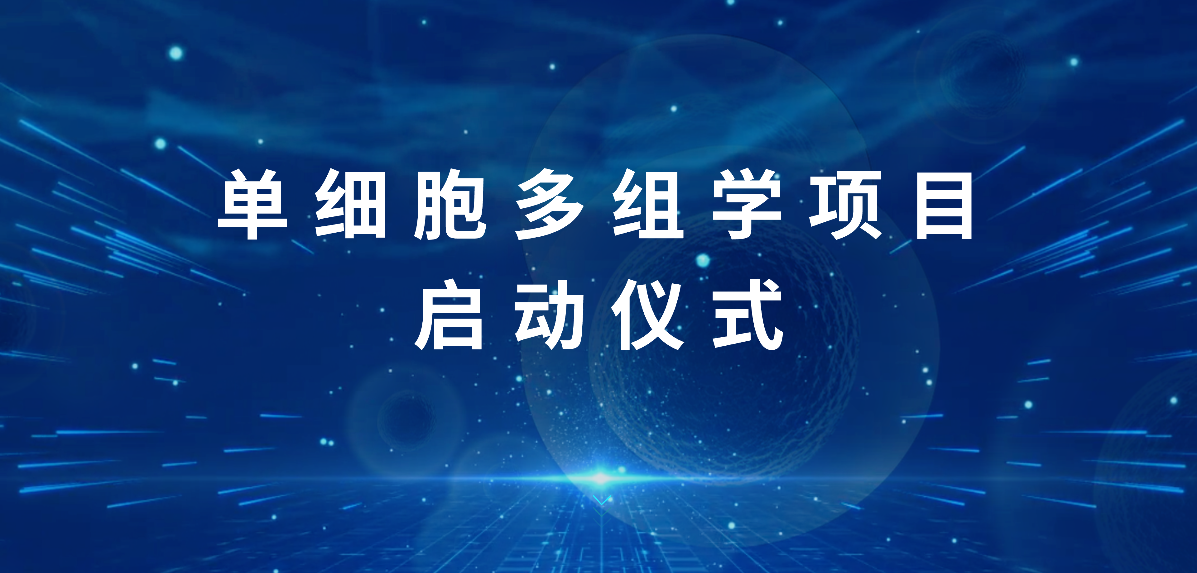 百沐生物单细胞多组学项目启动仪式圆满成功，汇聚顶尖智慧共绘生物科技新篇章